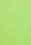 Malmero Hârtie decorativă colorată simplă Malmero Bambou 120g verde 70x100 R250