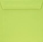 Sirio Color Plic decorativ neted colorat pătrat K4 15, 6x15, 6 HK Sirio Color Lime verde 115g