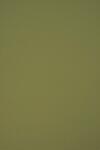 Circolor Hârtie decorativă colorată ecologică Circolor 160g Rosemary verde buc. 25A4