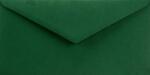 Sirio Color Plicuri decorative colorate DL 11x22 NK Sirio Color Foglia verde închis 115g