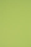 Rainbow Hârtie decorativă colorată simplă Rainbow 230g R74 verde deshis buc. 10A5