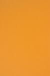 Rainbow Hârtie colorată Rainbow 160g R22 portocaliu deschis 92x65 R125