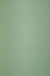 Keaykolour Hârtie decorativă colorată ecologică Keaykolour 300g Matcha Tea verde 70x100 R100 1 buc