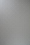Aster Metallic Hârtie decorativă colorată metalizată Aster Metallic 250g Silver Disco argintiu 71x100 R125 1 buc
