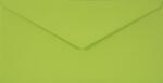 Sirio Color Plicuri decorative colorate DL 11x22 NK Sirio Color Lime verde deschis 115g