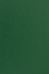 Sirio Color Hârtie decorativă colorată simplă Sirio Color 115g Foglia verde închis 70x100 R250 1 buc