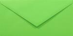 Rainbow Plicuri decorative colorate DL 11x22 NK Rainbow R76 verde 80g