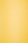 Circolor Hârtie decorativă colorată ecologică Circolor 80g Saffron galben închis buc. 500A4
