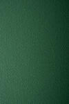 Prisma Hârtie decorativă colorată texturată Prisma 220g Pino verde închis buc. 10A5