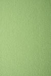 Prisma Hârtie decorativă colorată texturată Prisma 220g Pistacchio verde buc. 10A5