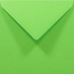 Rainbow Plicuri decorative colorate pătrate K4 14x14 NK Rainbow R76 verde 80g