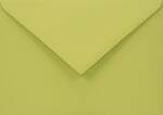 Woodstock Plicuri decorative colorate ecologică C6 11, 4x16, 2 NK Woodstock Pistacchio verde 110g