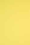 Rainbow Hârtie decorativă colorată simplă Rainbow 160g R16 galben 92x65 R125 1 buc