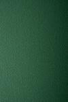 Prisma Hârtie decorativă colorată texturată Prisma 220g Pino verde închis buc. 10A4