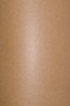Aster Metallic Hârtie decorativă colorată metalizată Aster Metallic 300g Rust. Coop Dust auriu buc. 10A4