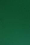 Sirio Color Hârtie decorativă colorată simplă Sirio Color 210g Foglia verde închis buc. 25A4