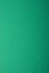 Prisma Hârtie decorativă colorată texturată Prisma 220g Verde verde buc. 10A4