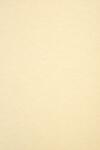 Aster Laguna Hârtie decorativă marmorată Aster Laguna 180g Cream cremă deschis buc. 20A4