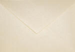 Aster Metallic Plicuri perlă decorativă metalizată C6 11, 4x16, 2 NK Aster Metallic Cream ecru 120g