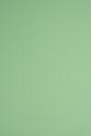 Woodstock Hârtie Woodstock Verde 170g 70x100