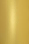 Aster Metallic Hârtie decorativă colorată metalizată Aster Metallic 250g Cherish auriu buc. 10A5
