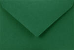 Sirio Color Plicuri decorative colorate C7 8x12 NK Sirio Color Foglia verde închis 115g