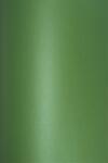 Aster Metallic Hârtie Aster Met. 280g Christmas Green 72x100 R125