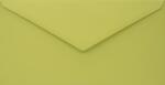 Woodstock Plicuri decorative colorate ecologică DL 11x22 NK Woodstock Pistacchio verde 140g