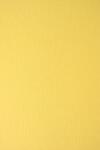 Nettuno Hârtie decorativă colorată cu dungi texturate Nettuno 215g Pompelmo galben 72x101 R125 1 buc