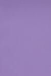 Burano Hârtie decorativă colorată simplă Burano 250g Violet B49 violet buc. 20A4