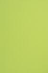 Sirio Color Hârtie decorativă colorată simplă Sirio Color 170g Lime verde deshis buc. 20A4