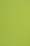 Sirio Color Hârtie decorativă colorată simplă Sirio Color 115g Lime verde deshis 70x100 R250 1 buc