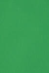 Burano Hârtie decorativă colorată simplă Burano 250g Verde Bandiera B60 verde buc. 10A5