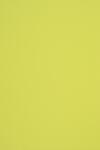 Woodstock Hârtie ecologică Woodstock Pistacchio 285g 70x100