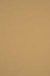 Sirio Color Hârtie decorativă colorată simplă Sirio Color 170g Bruno maro deshis 70x100 R200 1 buc