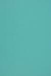 Woodstock Hârtie ecologică Woodstock Azzurro 285g 70x100