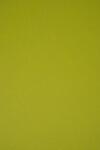 Keaykolour Hârtie decorativă colorată ecologică Keaykolour 300g Kiwi verde buc. 10A4