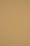 Sirio Color Hârtie decorativă colorată simplă Sirio Color 210g Bruno maro deshis 70x100 R125 1 buc