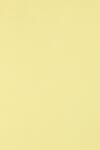 Circolor Hârtie decorativă colorată ecologică Circolor 80g Camomile galben deschis buc. 500A4