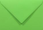Rainbow Plicuri decorative colorate C6 11, 4x16, 2 NK Rainbow R76 verde 80g