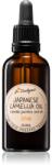 Dr. Feelgood RAW olaj japán kamélia magokból 50 ml