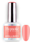 BrillBird TPO FREE Hypnotic HEMA Free Gel&Lac 8ml 60