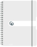 Herlitz Caiet a4 80f spira patratele eotg coperta pp transparent - Set 2 (11293107)