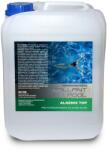 Brillant Pool BrillantPool Algenix Top Препарат против водорасли без пяна 5L (UVA-T05B)