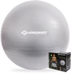 Schildkröt Minge de gimnastică Gymnastic Ball 65 cm Anthracite Minge fitness