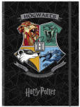 License Füzetbox HARRY POTTER A/5 - robbitairodaszer