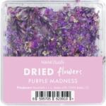 NANI dried flowers - Purple Madness