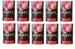 RAFI Dolina Noteci Rafi marhahússal, áfonyával és áfonyával kutyáknak 10x500g