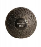 Master Slam Ball labda Master 6 kg (MAS4A416)