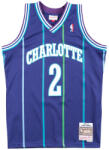 Mitchell & Ness Charlotte Hornets NBA Swingman Alternate Jersey Larry Johnson purple